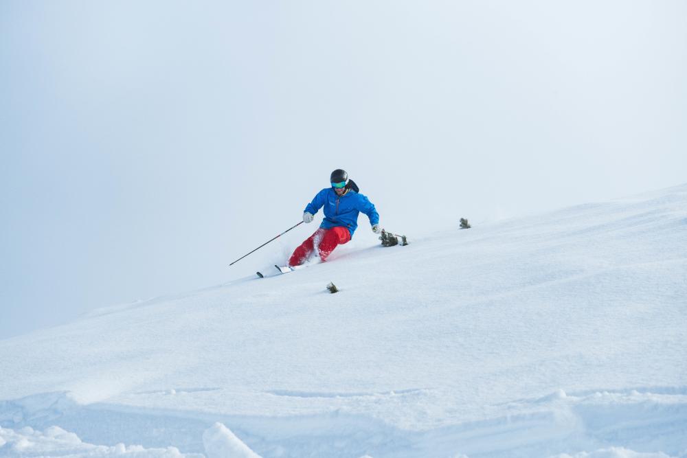 Skier